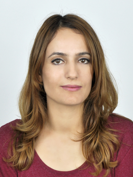 D&Ouml;ND&Uuml; ŞAMDAN